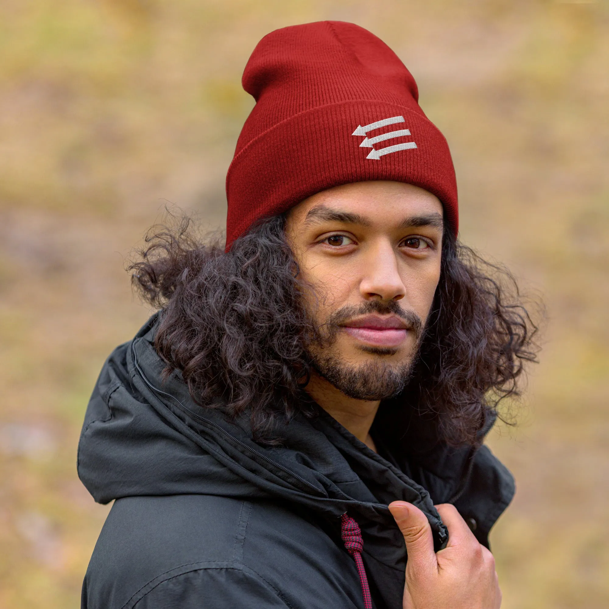 3 Arrows Beanie