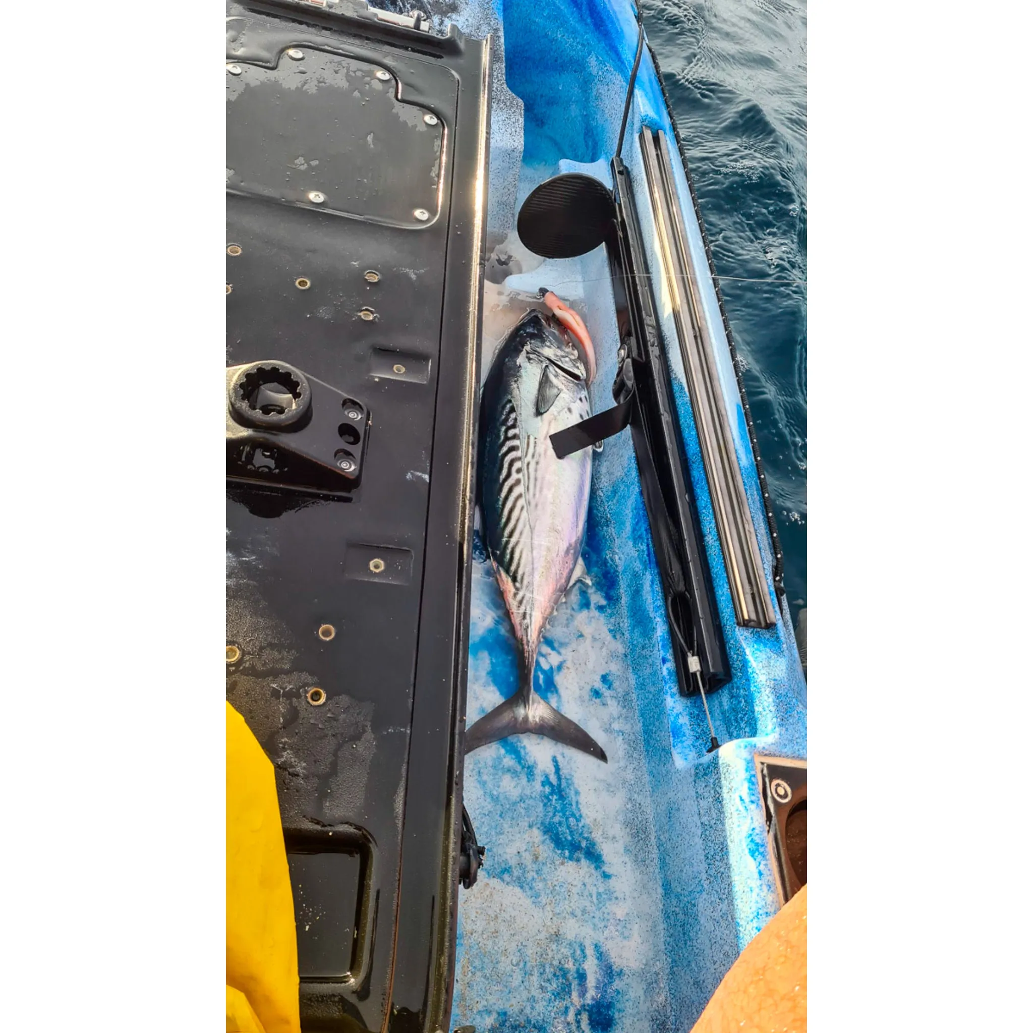 Angler Pro XL -  4.3m Fishing Kayak with Live Bait Well